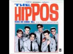 Przycinanie mp3 piosenek Hippos za darmo online.